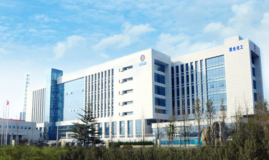 The Company fully functional Office Building